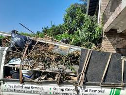 Best Demolition Debris Removal  in Holly Hill, SC